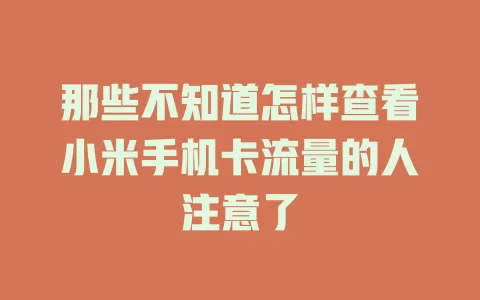 那些不知道怎样查看小米手机卡流量的人注意了