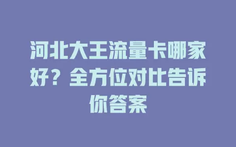 河北大王流量卡哪家好？全方位对比告诉你答案