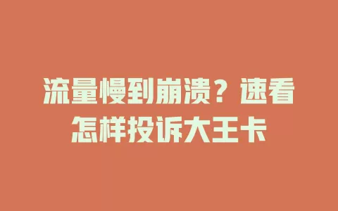 流量慢到崩溃？速看怎样投诉大王卡