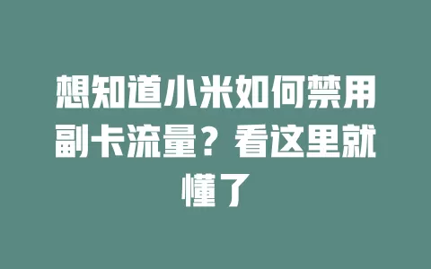 想知道小米如何禁用副卡流量？看这里就懂了
