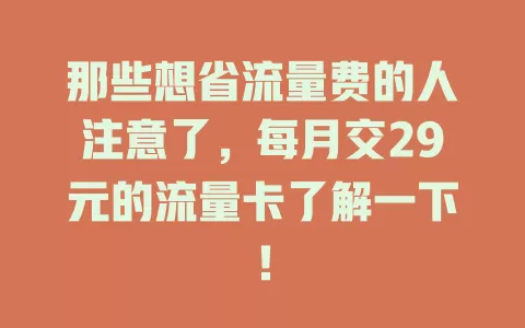 那些想省流量费的人注意了，每月交29元的流量卡了解一下！