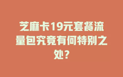 芝麻卡19元套餐流量包究竟有何特别之处？