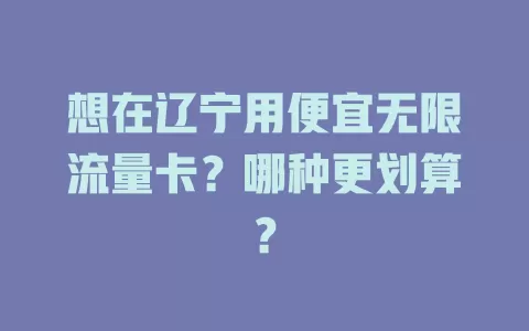 想在辽宁用便宜无限流量卡？哪种更划算？
