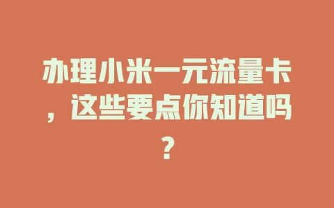办理小米一元流量卡，这些要点你知道吗？