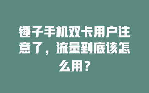 锤子手机双卡用户注意了，流量到底该怎么用？