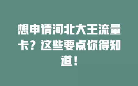 想申请河北大王流量卡？这些要点你得知道！
