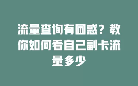 流量查询有困惑？教你如何看自己副卡流量多少