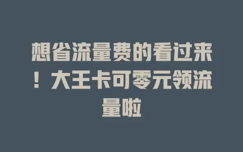 想省流量费的看过来！大王卡可零元领流量啦