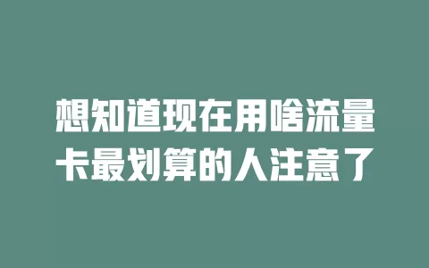 想知道现在用啥流量卡最划算的人注意了