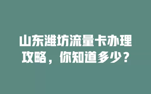 山东潍坊流量卡办理攻略，你知道多少？