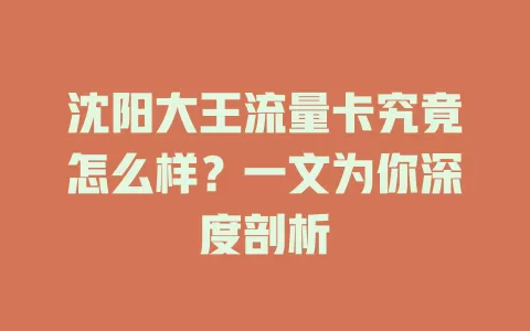 沈阳大王流量卡究竟怎么样？一文为你深度剖析
