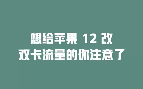 想给苹果 12 改双卡流量的你注意了
