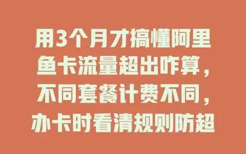 用3个月才搞懂阿里鱼卡流量超出咋算，不同套餐计费不同，办卡时看清规则防超支困扰