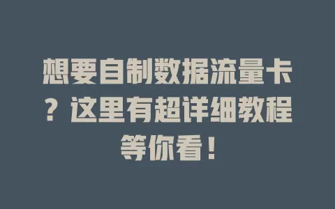 想要自制数据流量卡？这里有超详细教程等你看！