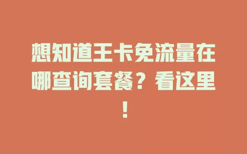 想知道王卡免流量在哪查询套餐？看这里！