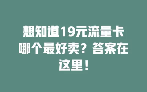 想知道19元流量卡哪个最好卖？答案在这里！