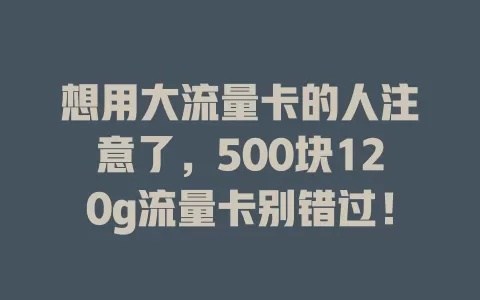 想用大流量卡的人注意了，500块120g流量卡别错过！