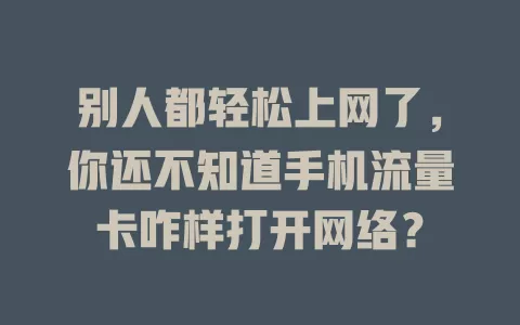 别人都轻松上网了，你还不知道手机流量卡咋样打开网络？