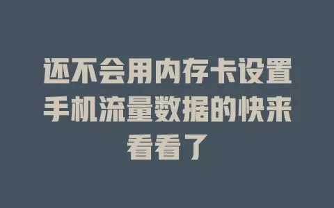还不会用内存卡设置手机流量数据的快来看看了