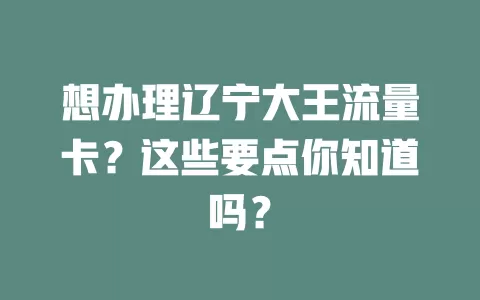 想办理辽宁大王流量卡？这些要点你知道吗？