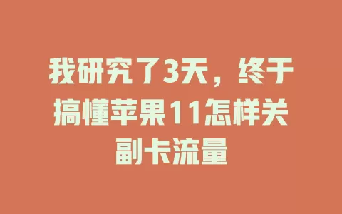 我研究了3天，终于搞懂苹果11怎样关副卡流量