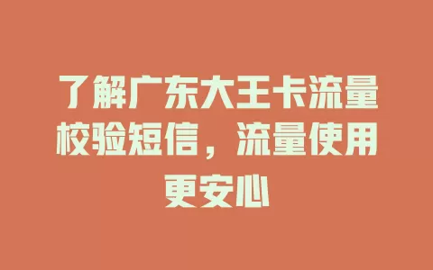 了解广东大王卡流量校验短信，流量使用更安心
