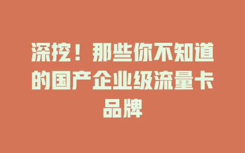 深挖！那些你不知道的国产企业级流量卡品牌