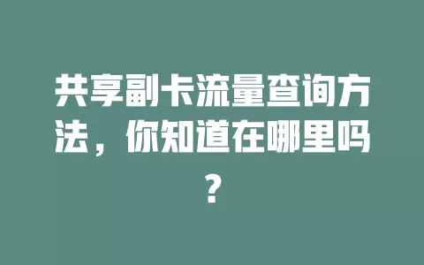 共享副卡流量查询方法，你知道在哪里吗？