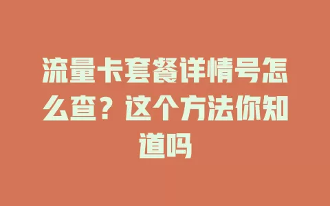 流量卡套餐详情号怎么查？这个方法你知道吗