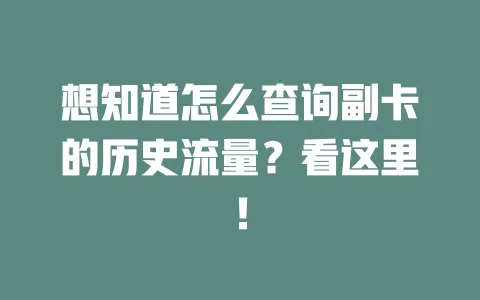 想知道怎么查询副卡的历史流量？看这里！