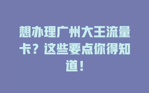 想办理广州大王流量卡？这些要点你得知道！