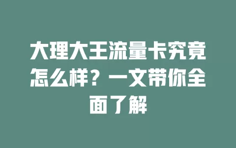 大理大王流量卡究竟怎么样？一文带你全面了解