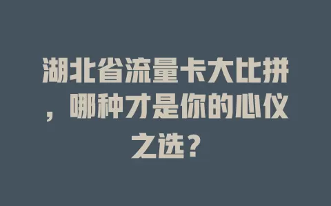 湖北省流量卡大比拼，哪种才是你的心仪之选？
