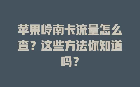苹果岭南卡流量怎么查？这些方法你知道吗？