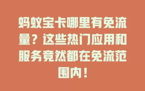 蚂蚁宝卡哪里有免流量？这些热门应用和服务竟然都在免流范围内！
