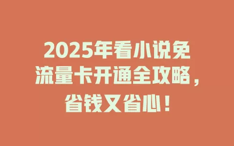 2025年看小说免流量卡开通全攻略，省钱又省心！