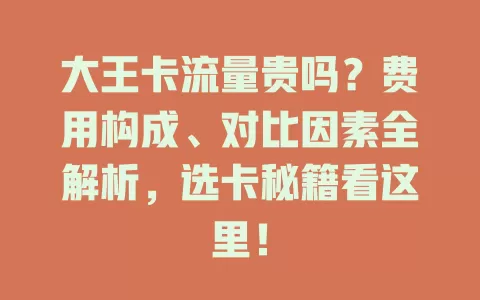 大王卡流量贵吗？费用构成、对比因素全解析，选卡秘籍看这里！