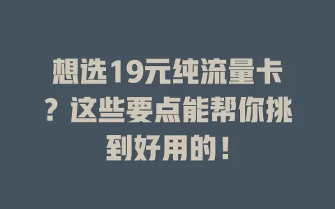 想选19元纯流量卡？这些要点能帮你挑到好用的！