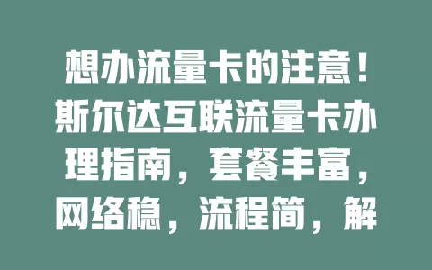 想办流量卡的注意！斯尔达互联流量卡办理指南，套餐丰富，网络稳，流程简，解决你的流量烦恼