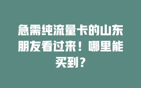 急需纯流量卡的山东朋友看过来！哪里能买到？