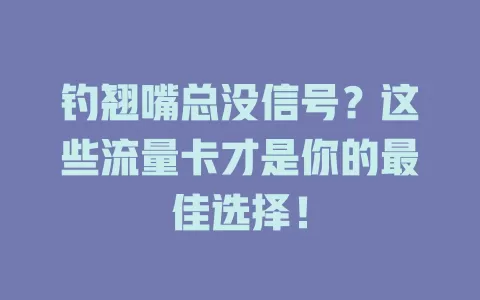 钓翘嘴总没信号？这些流量卡才是你的最佳选择！