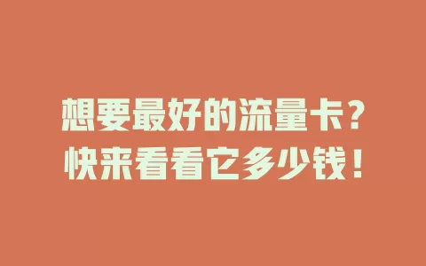想要最好的流量卡？快来看看它多少钱！