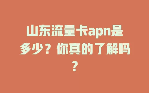 山东流量卡apn是多少？你真的了解吗？