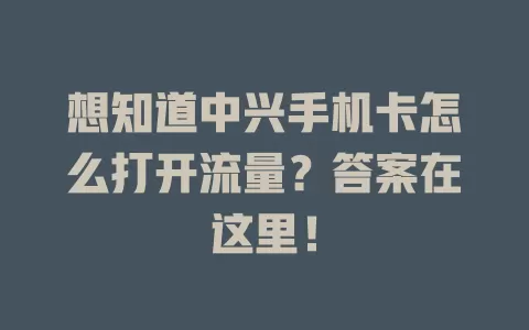想知道中兴手机卡怎么打开流量？答案在这里！