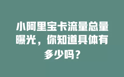 小阿里宝卡流量总量曝光，你知道具体有多少吗？