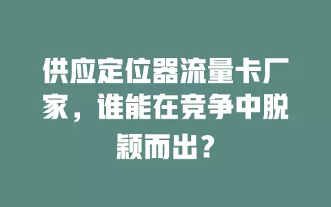 供应定位器流量卡厂家，谁能在竞争中脱颖而出？