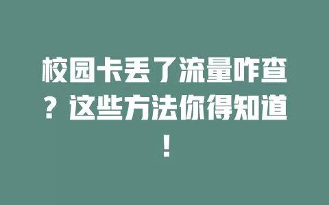 校园卡丢了流量咋查？这些方法你得知道！