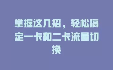 掌握这几招，轻松搞定一卡和二卡流量切换