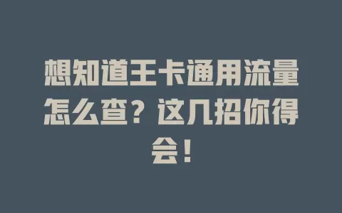 想知道王卡通用流量怎么查？这几招你得会！