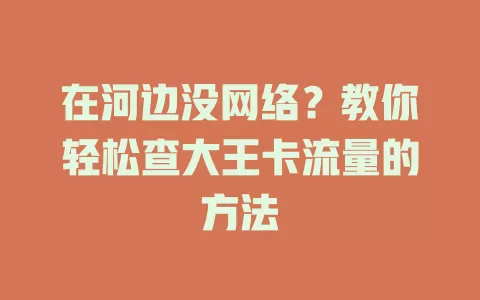 在河边没网络？教你轻松查大王卡流量的方法